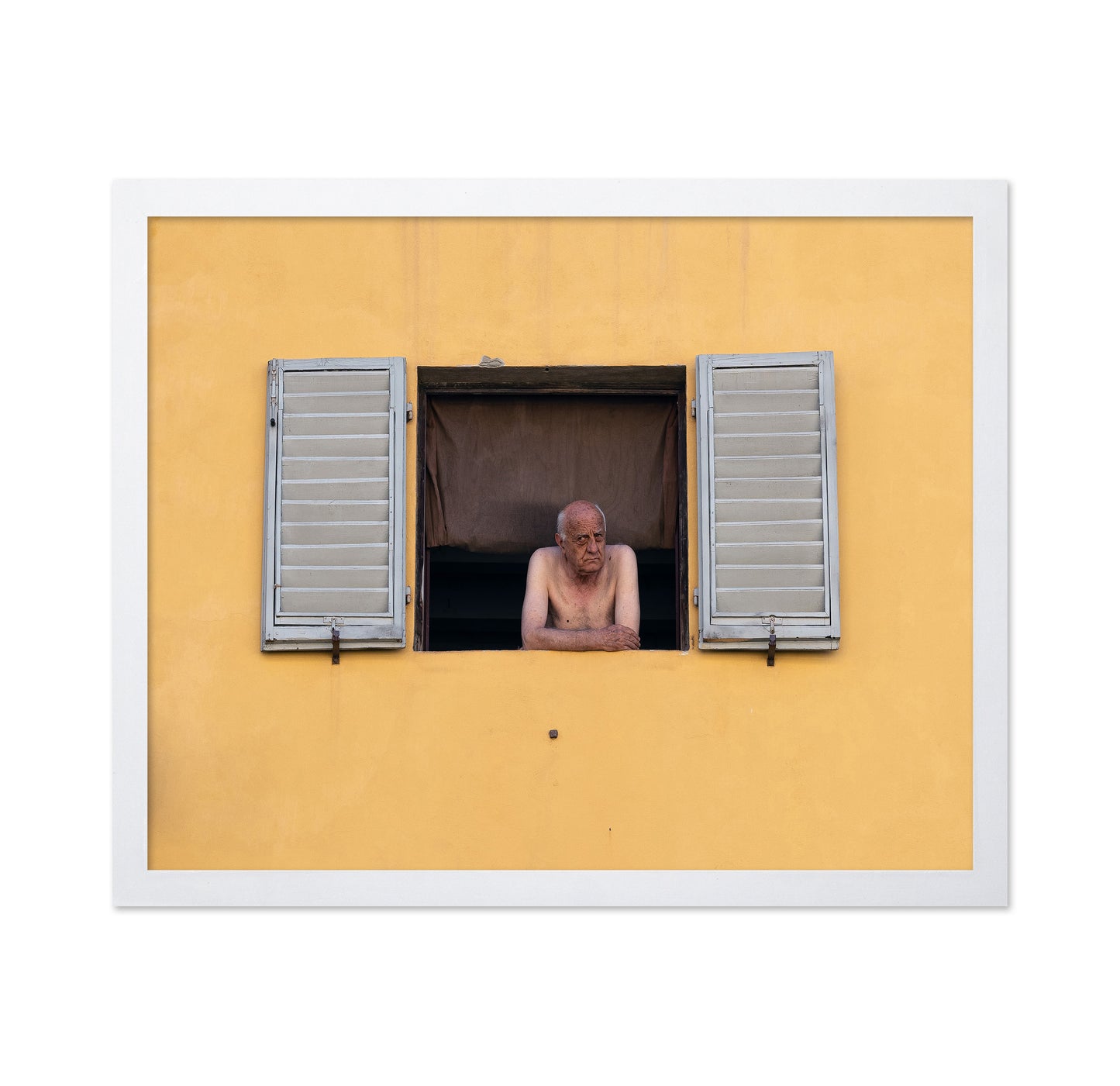 Life at the Window