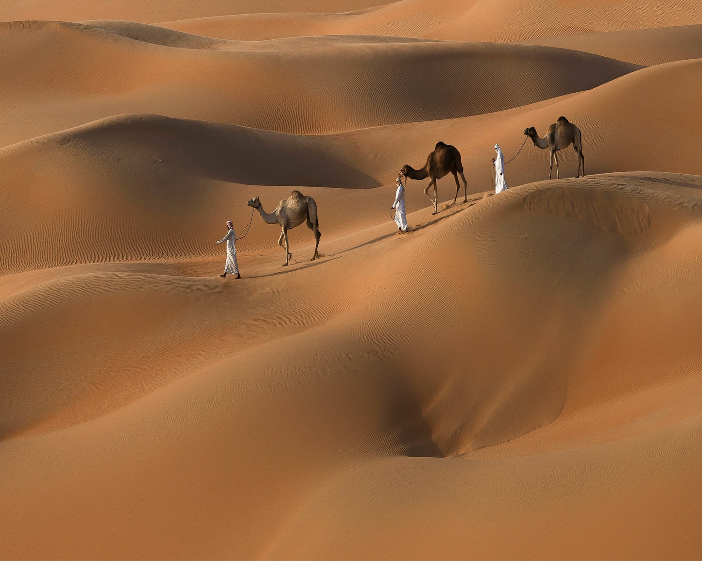 Liwa Desert