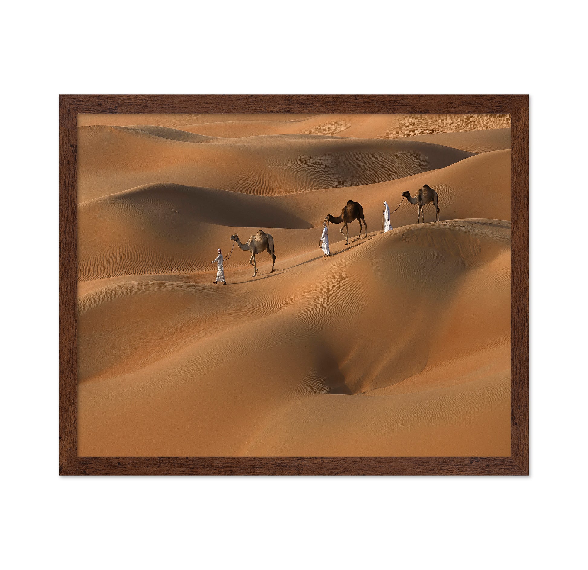 Liwa Desert