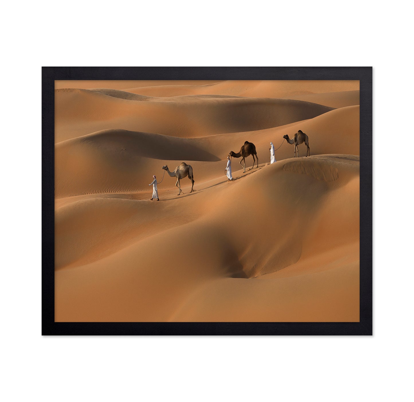 Liwa Desert