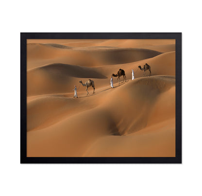 Liwa Desert