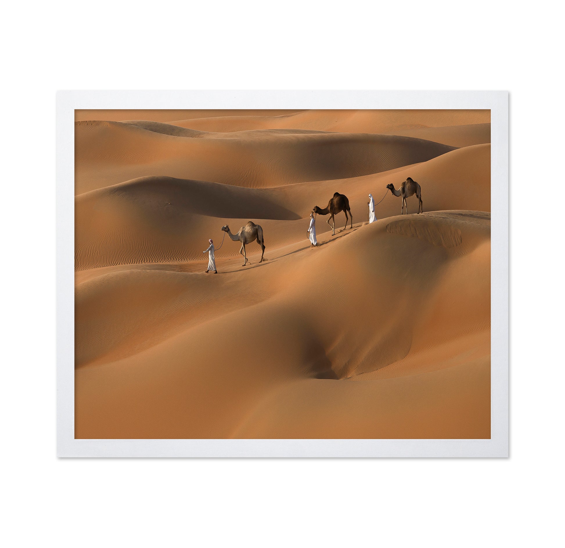 Liwa Desert