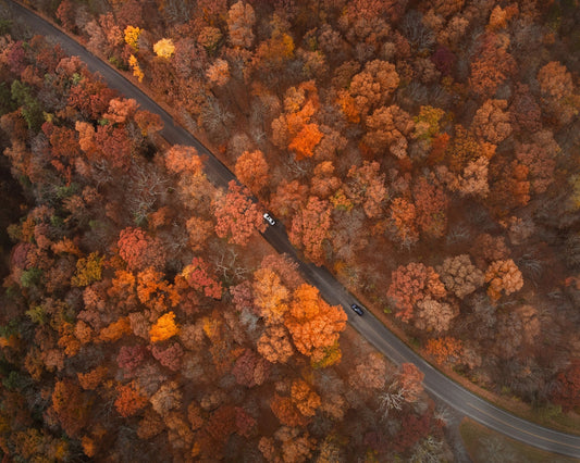 On the Road of Autumn