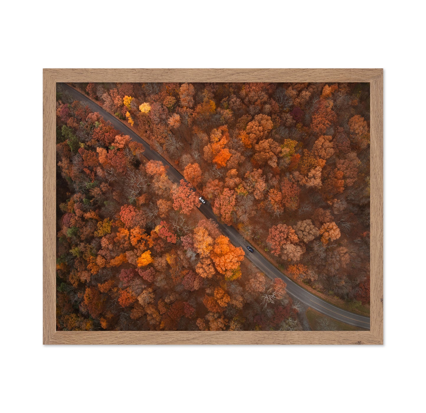 On the Road of Autumn