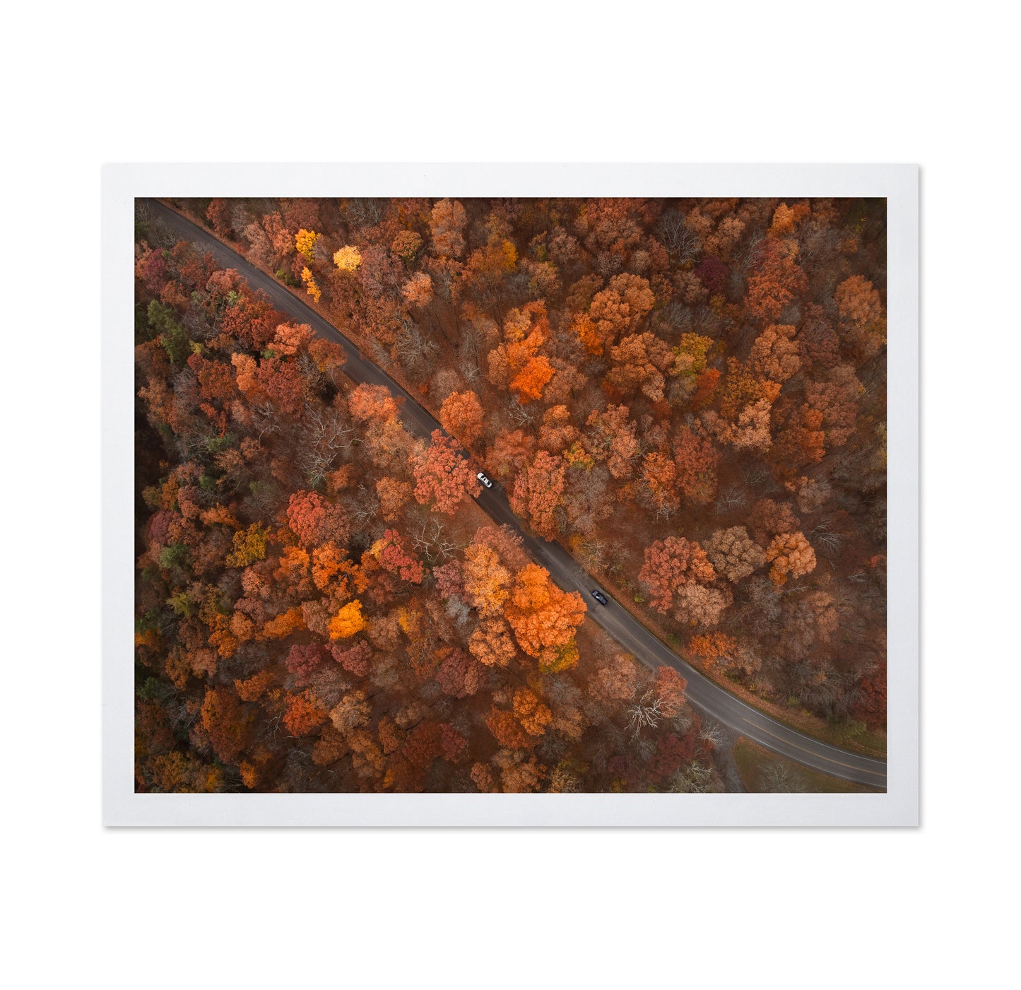 On the Road of Autumn