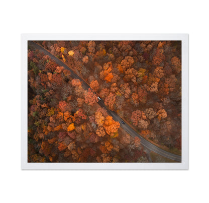 On the Road of Autumn