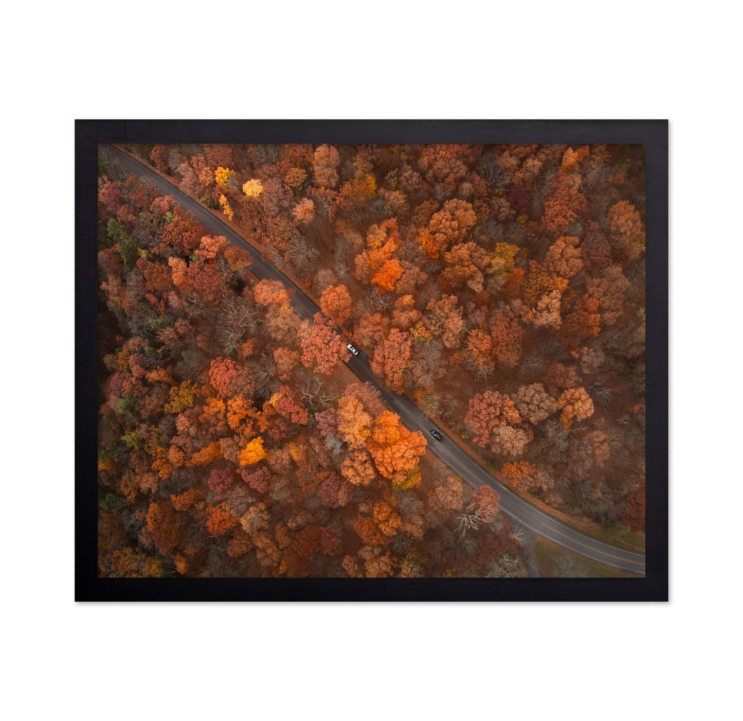On the Road of Autumn