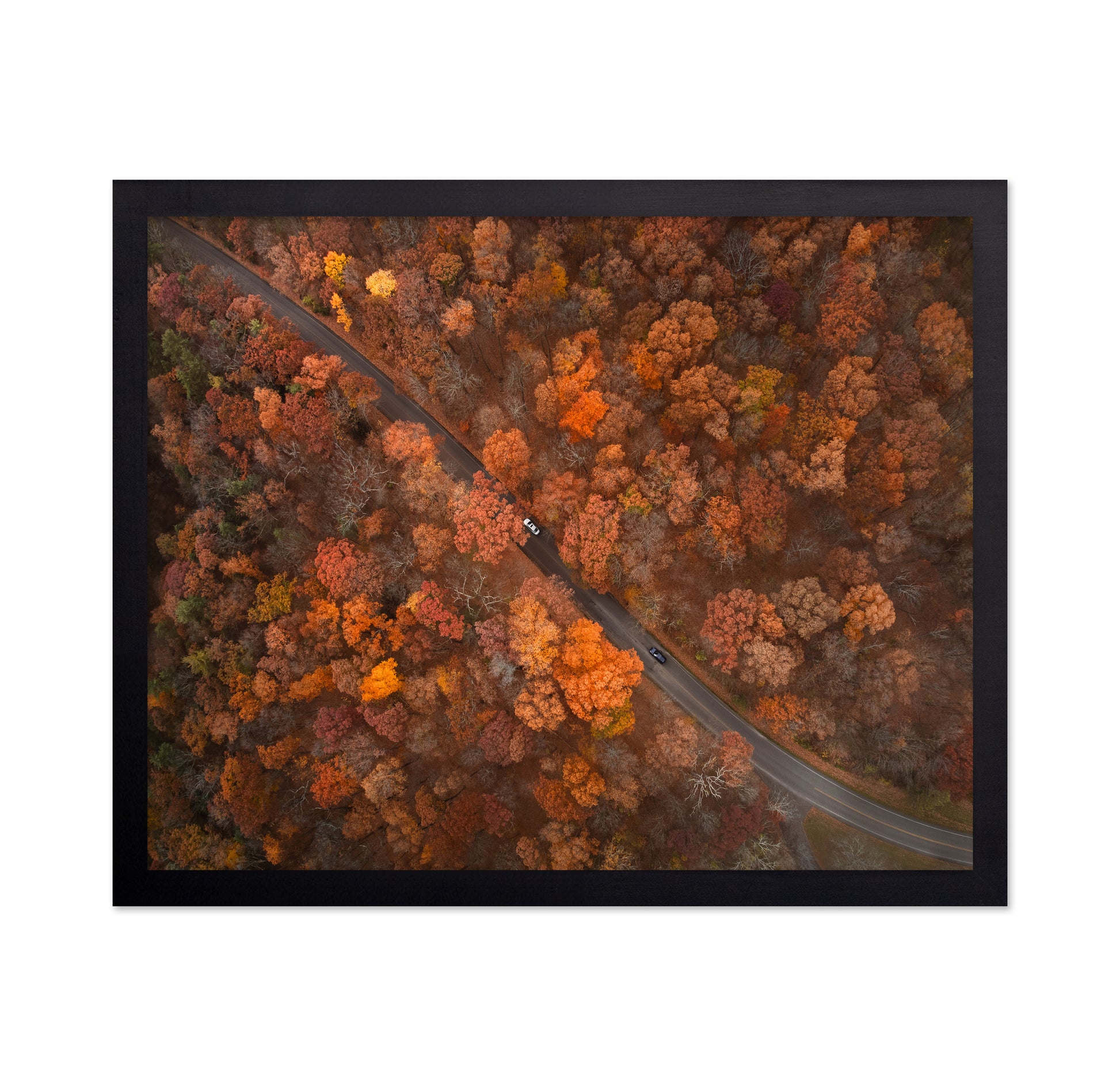On the Road of Autumn
