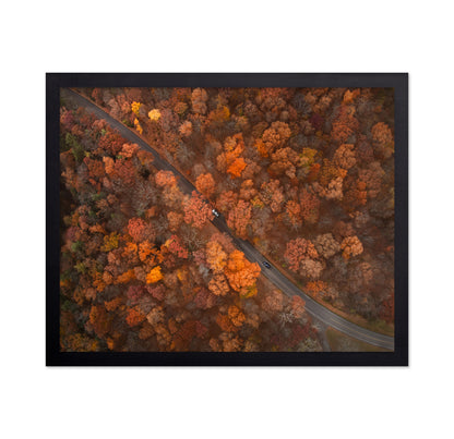 On the Road of Autumn