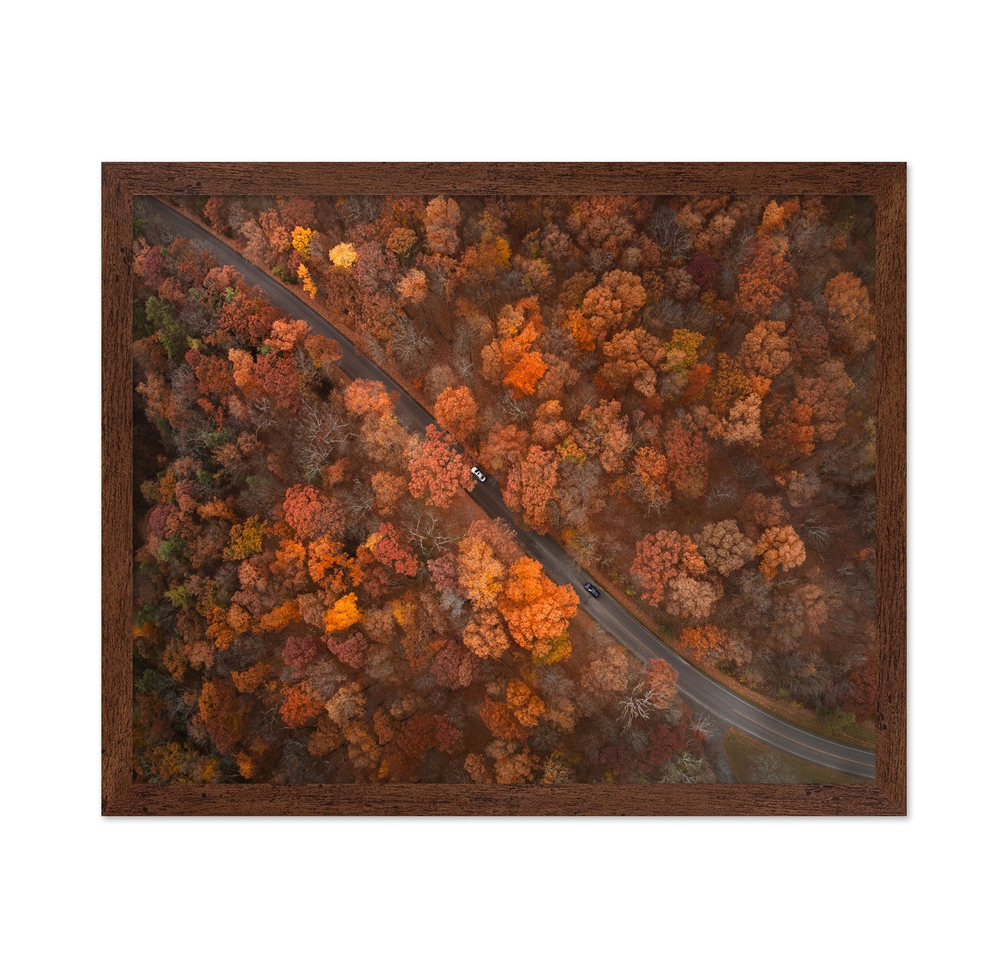 On the Road of Autumn
