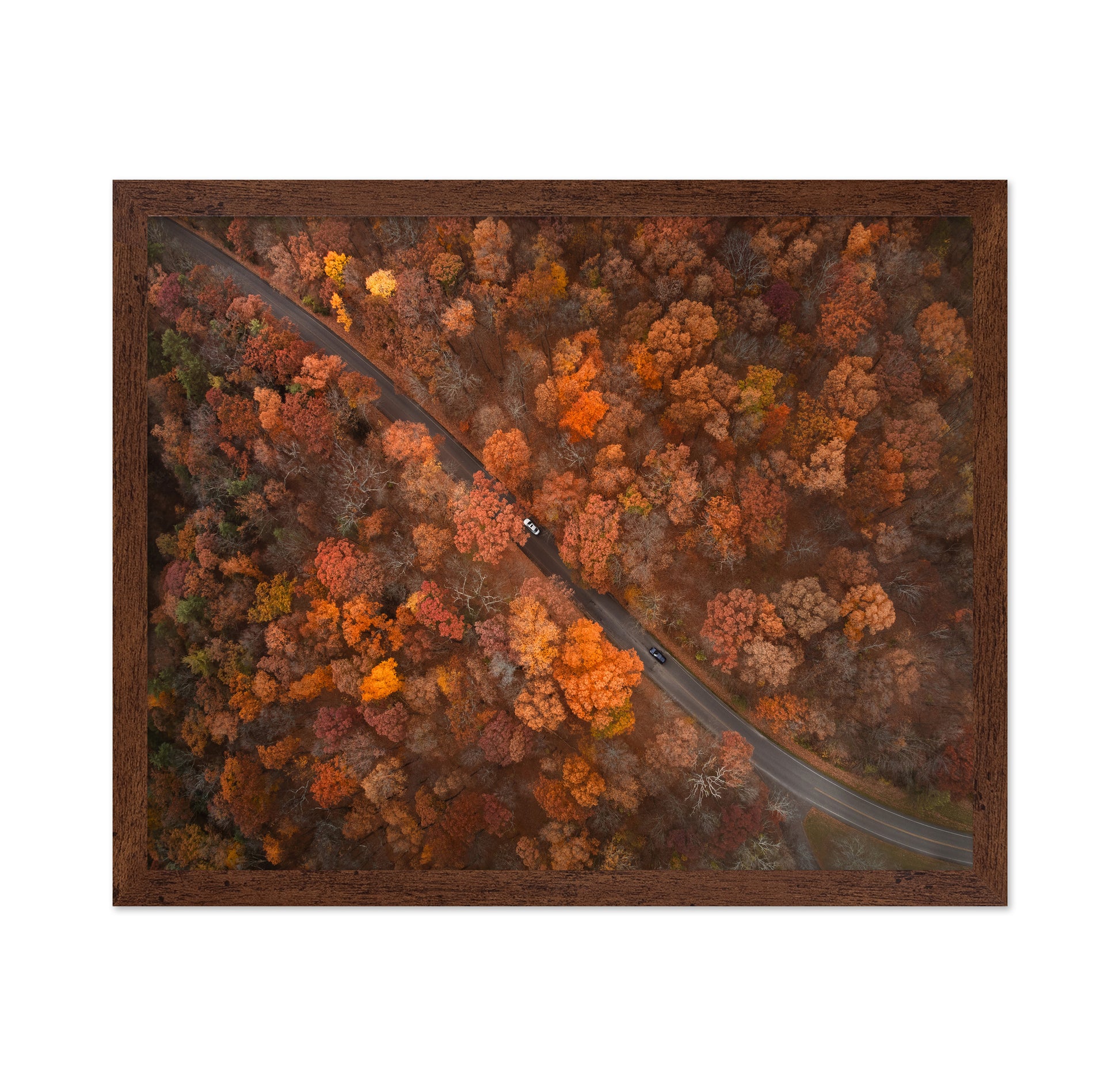 On the Road of Autumn