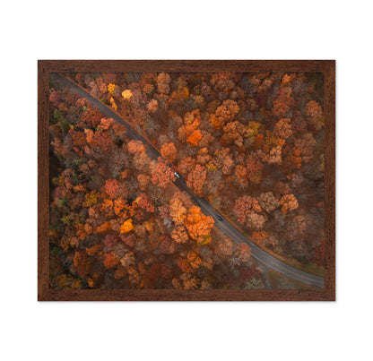 On the Road of Autumn