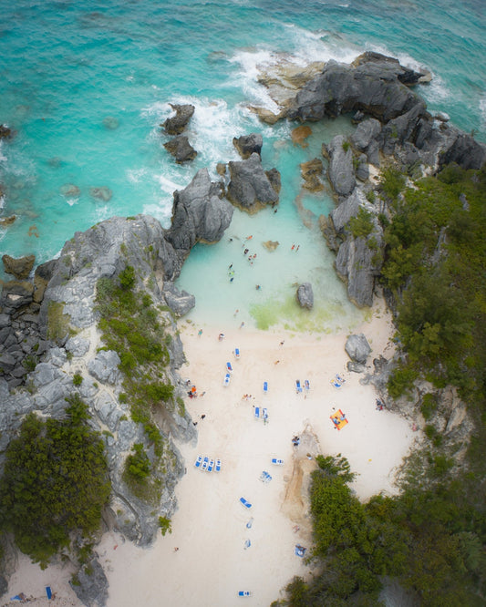 Jobson's Cove from Above