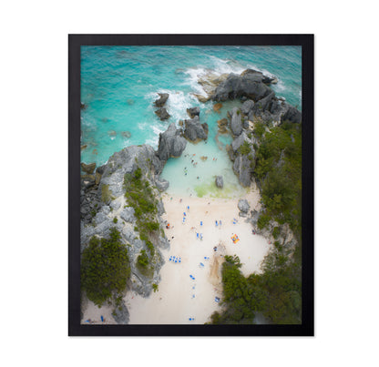 Jobson's Cove from Above