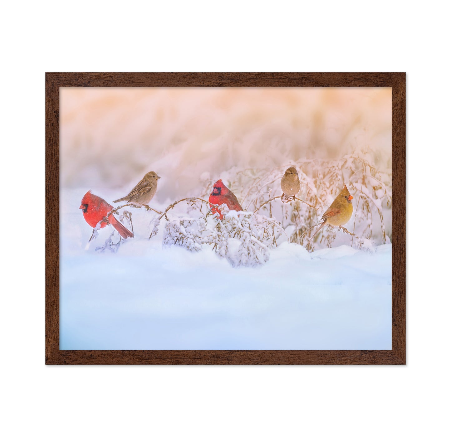 Snowy Morning Party