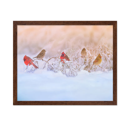 Snowy Morning Party