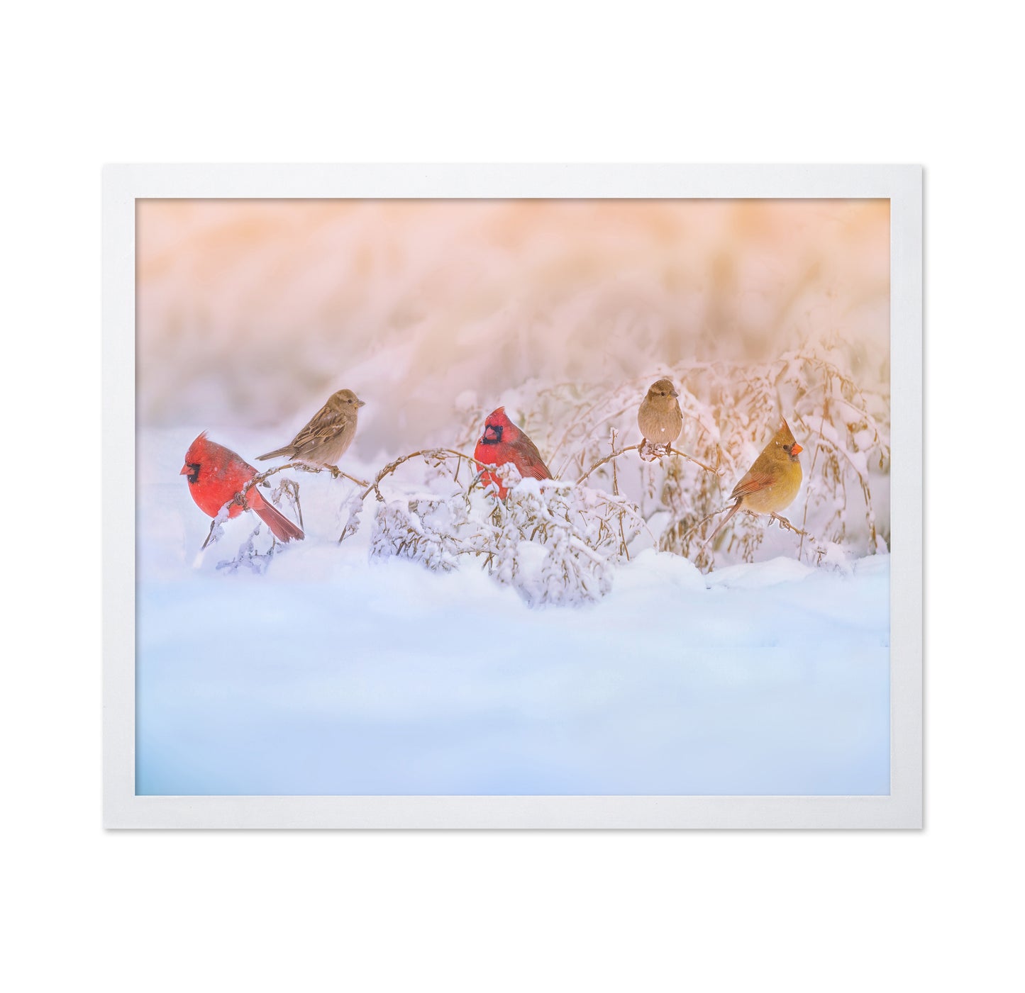 Snowy Morning Party