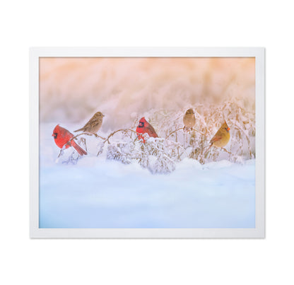 Snowy Morning Party
