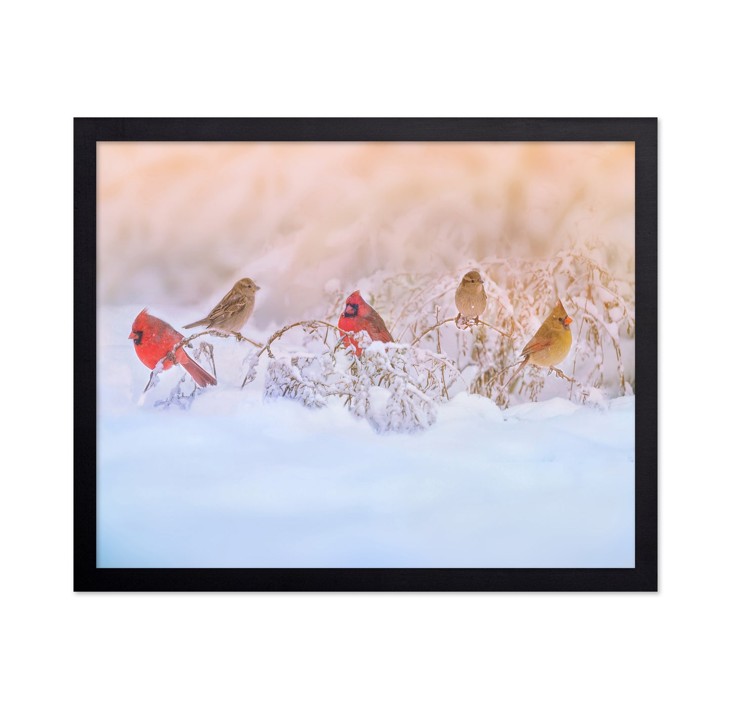 Snowy Morning Party