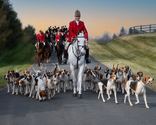 Fox Hunt