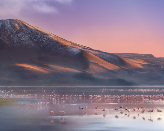 Laguna Colorada Morning
