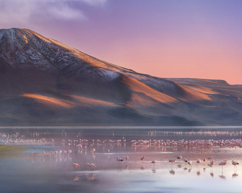 Laguna Colorada Morning