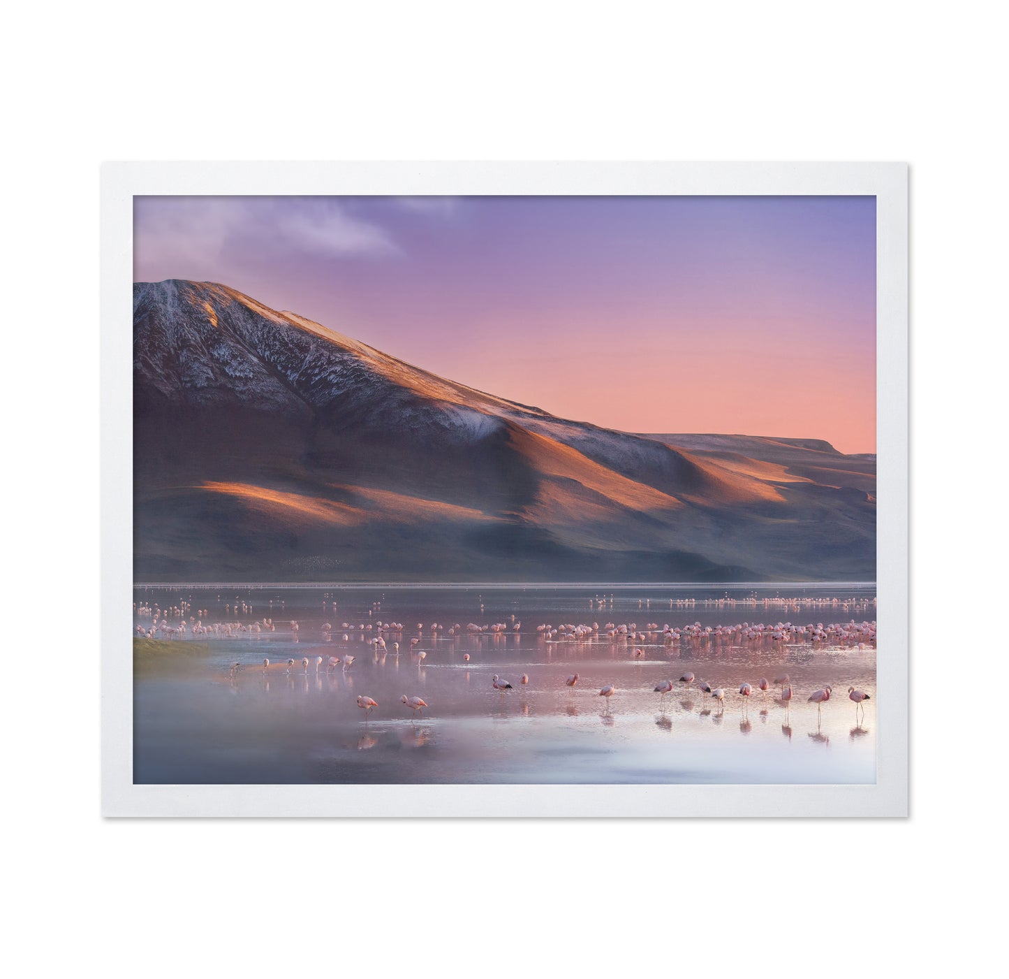 Laguna Colorada Morning