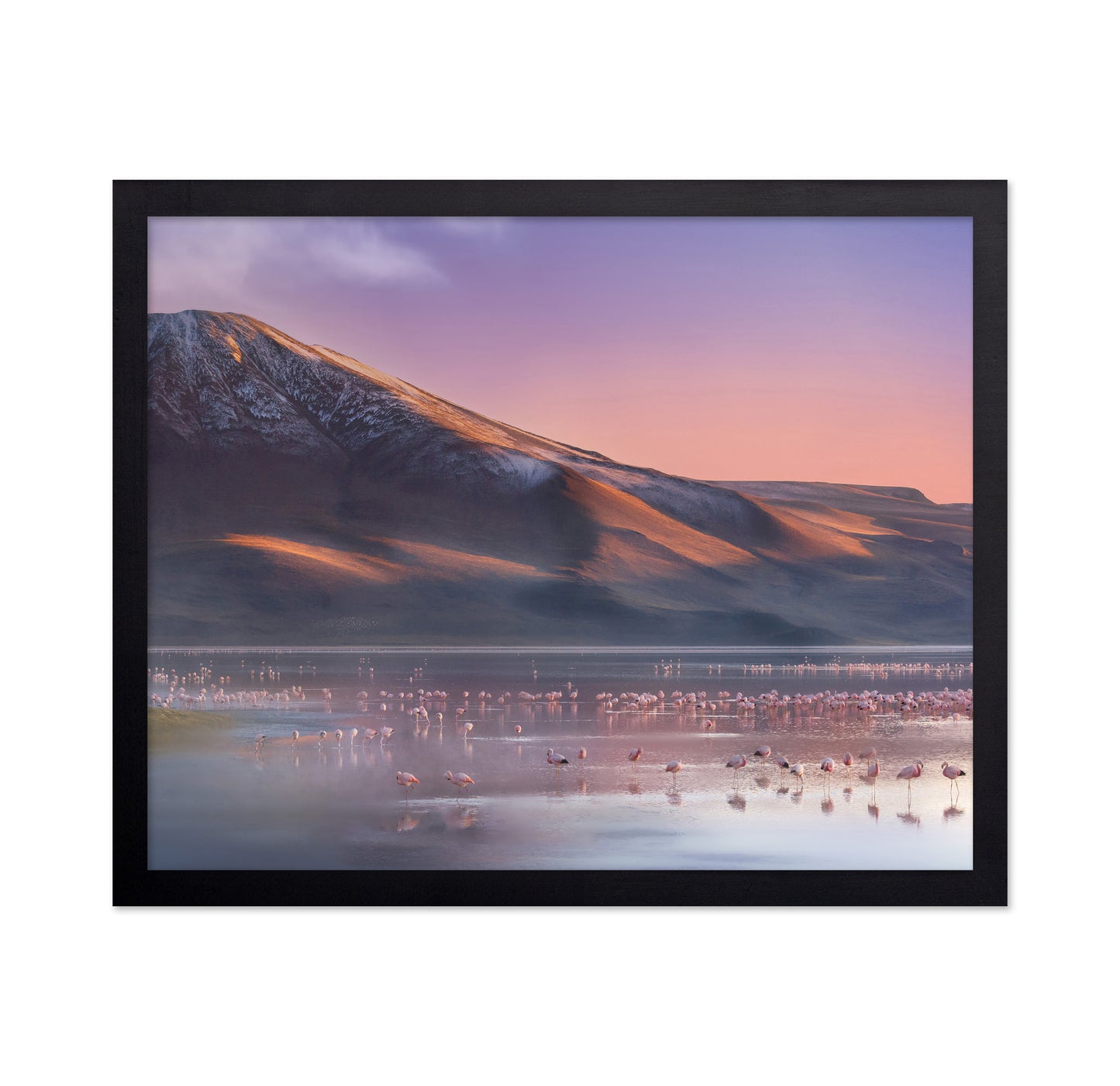 Laguna Colorada Morning