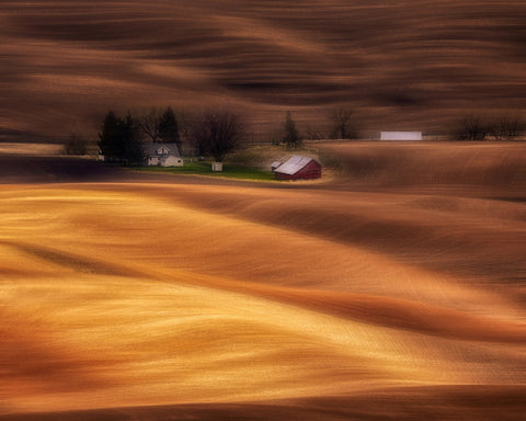 Farmhouse on Golden Fields