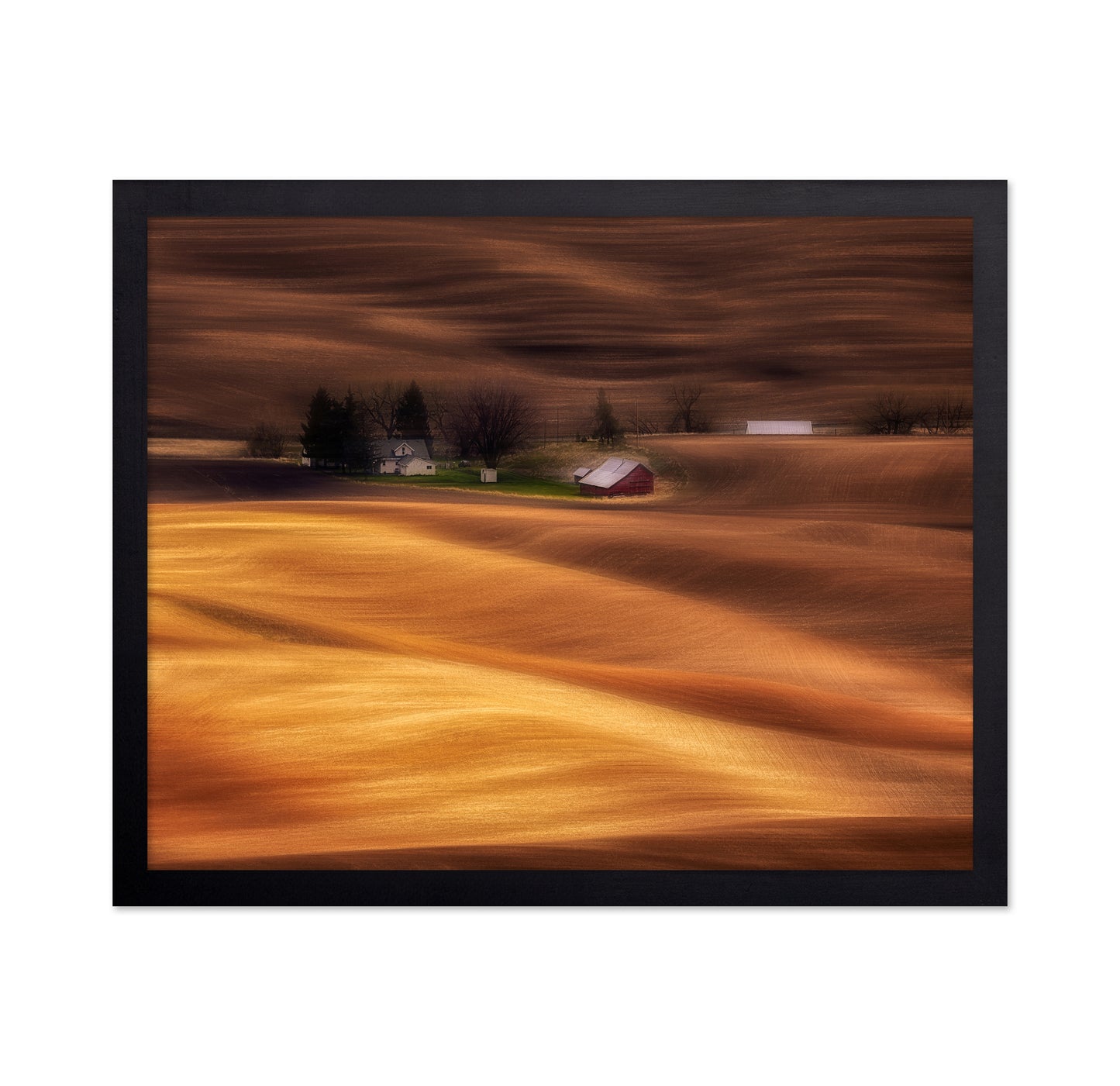 Farmhouse on Golden Fields