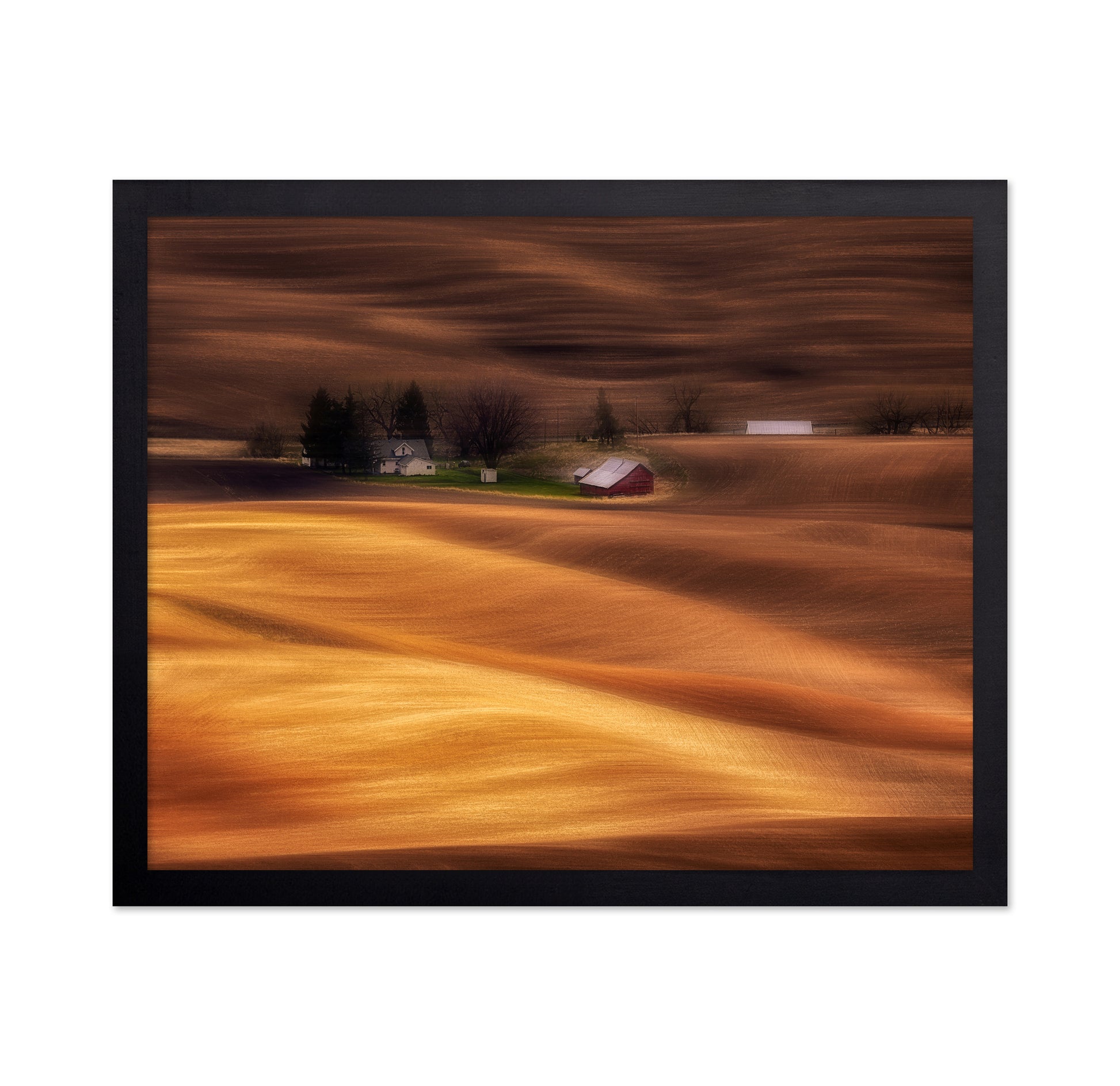 Farmhouse on Golden Fields