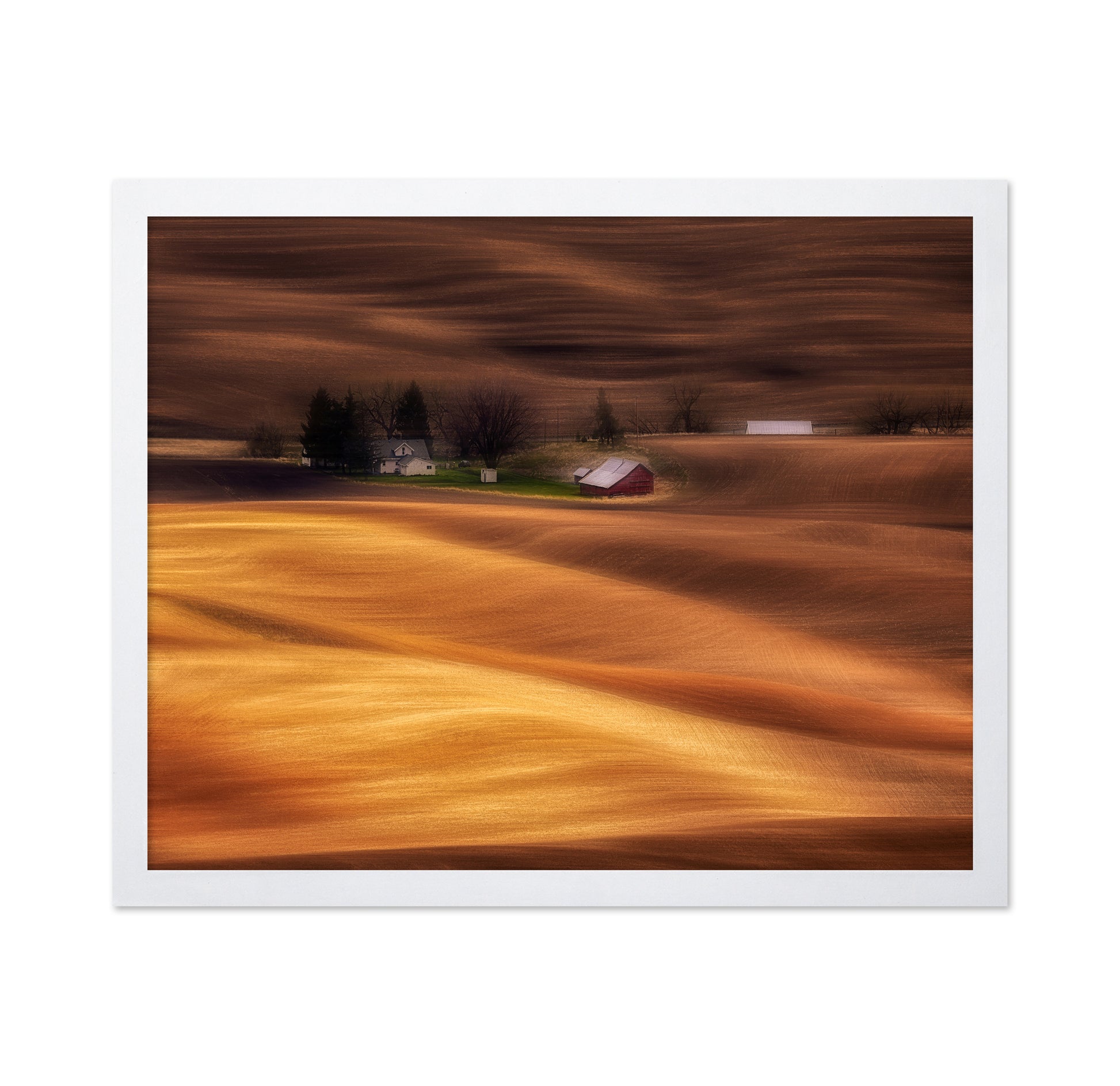 Farmhouse on Golden Fields