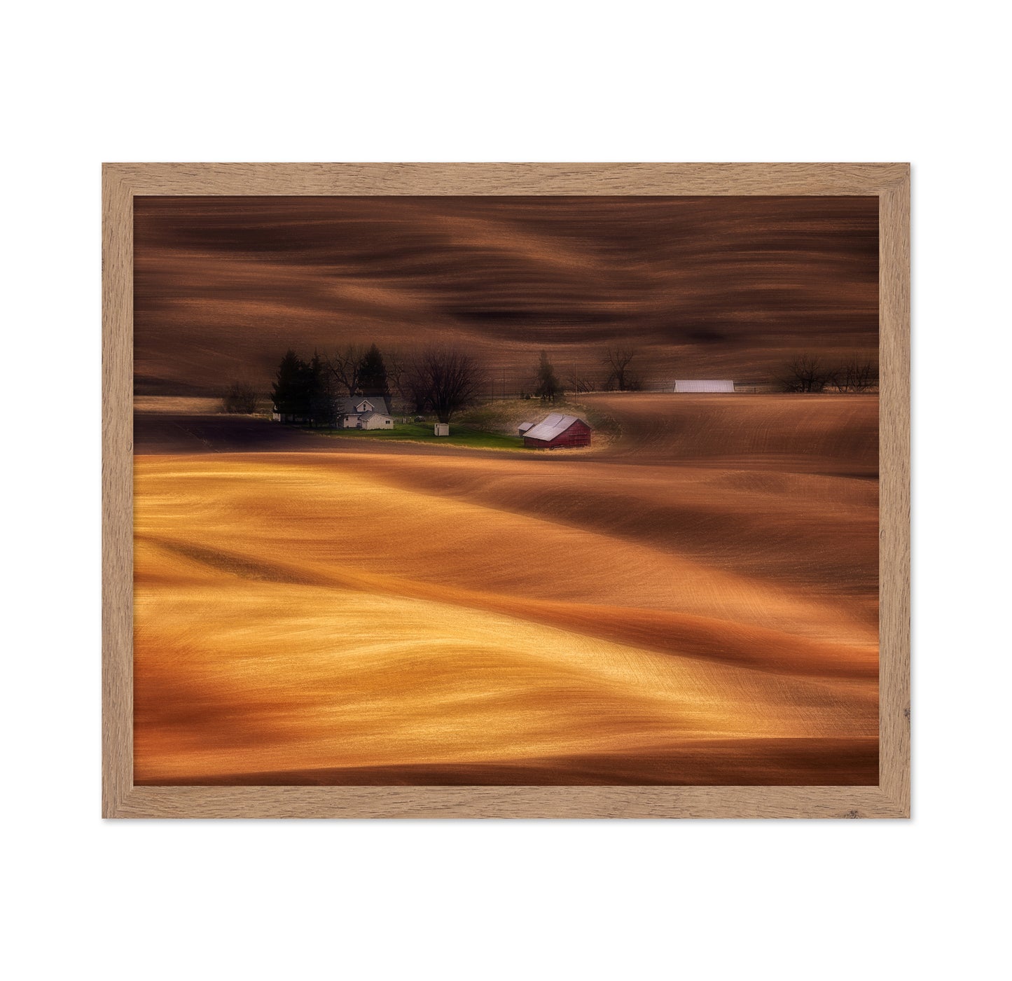 Farmhouse on Golden Fields