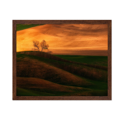 Sunset Tree on Field