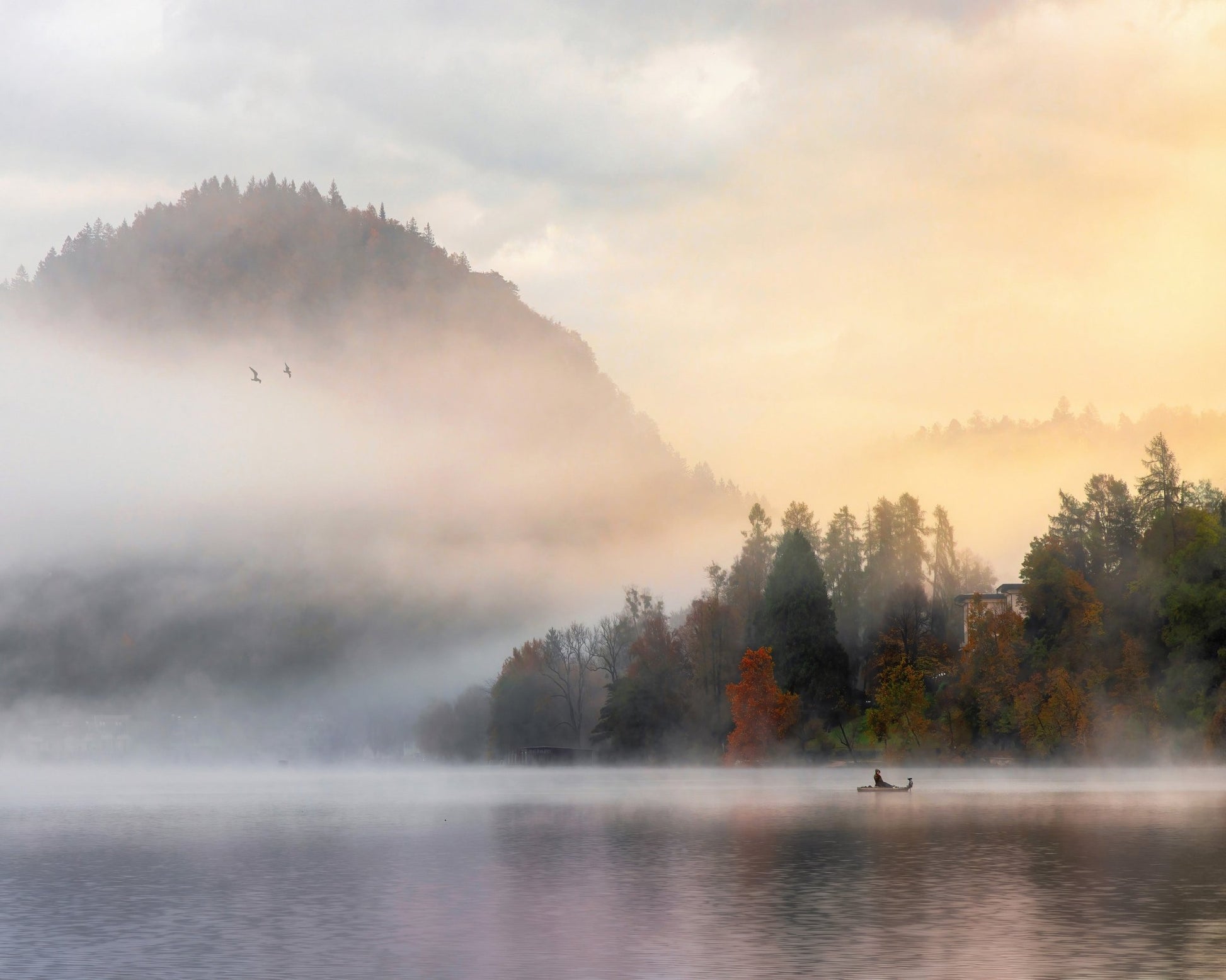 Dreamy Morning