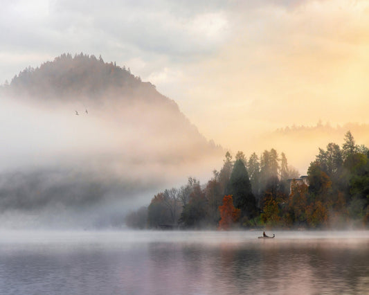 Dreamy Morning