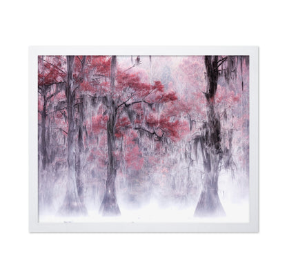 Foggy Fall Foliage at Caddo Lake