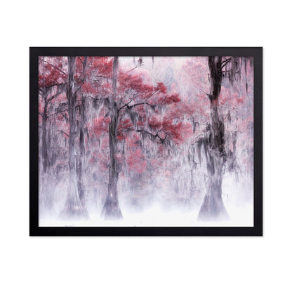 Foggy Fall Foliage at Caddo Lake