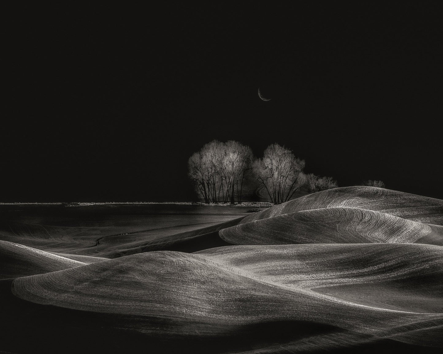 Silent Fields