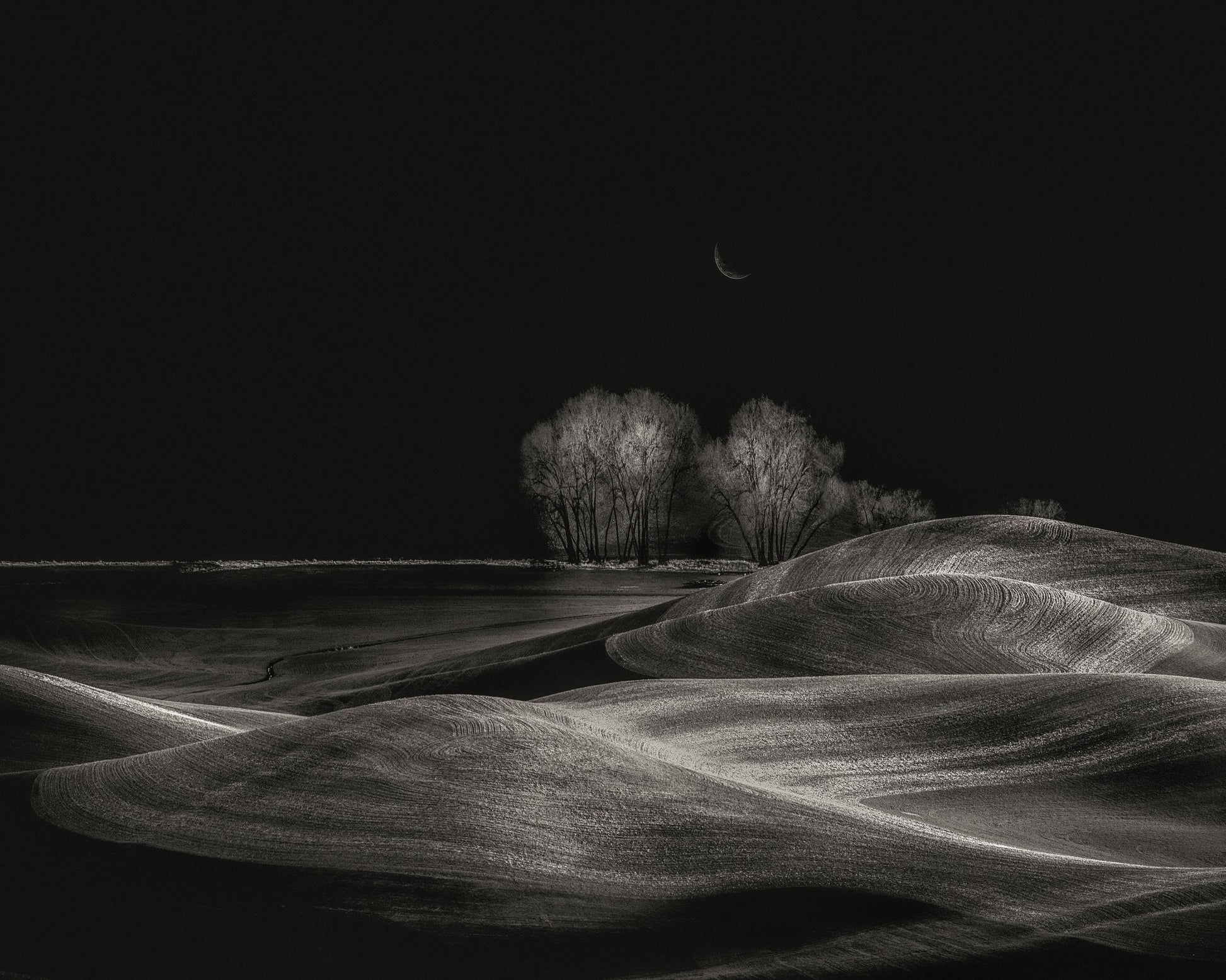 Silent Fields
