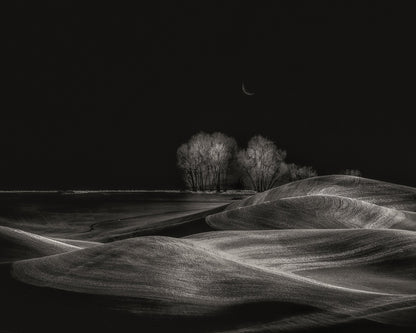 Silent Fields