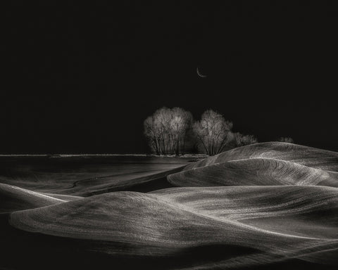 Silent Fields