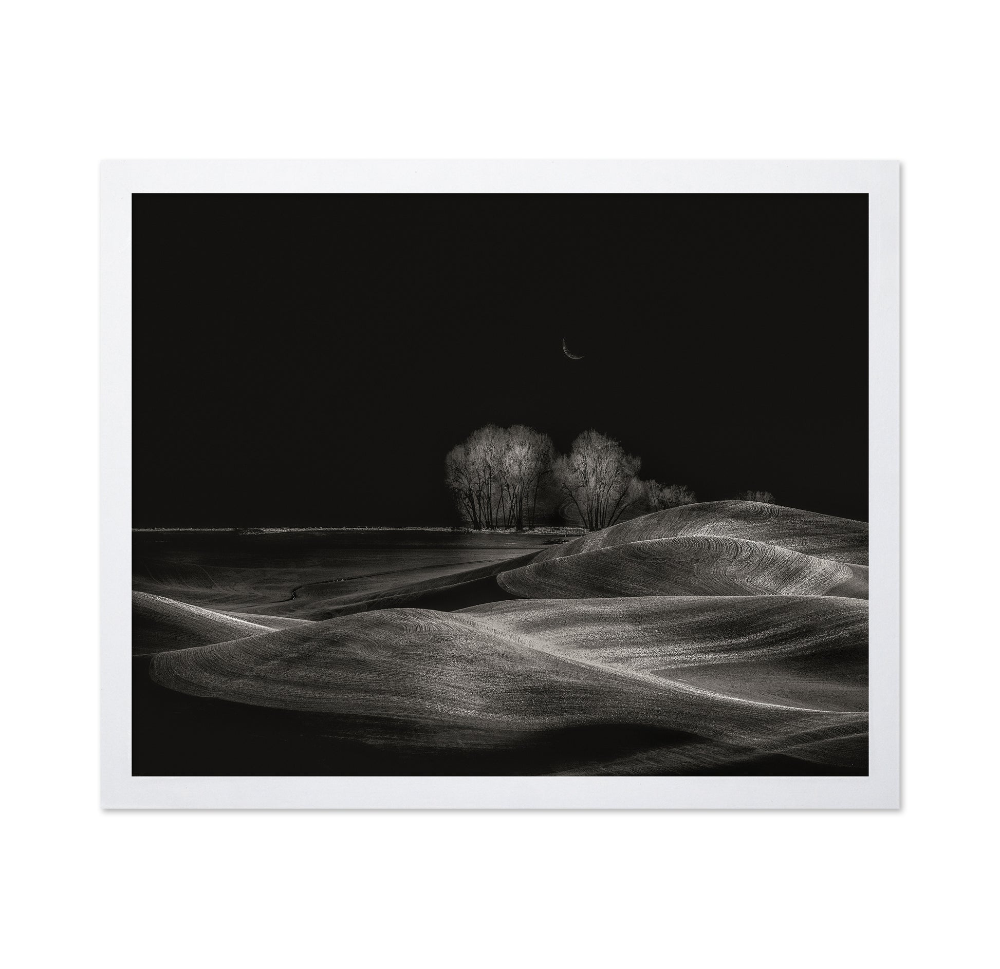 Silent Fields