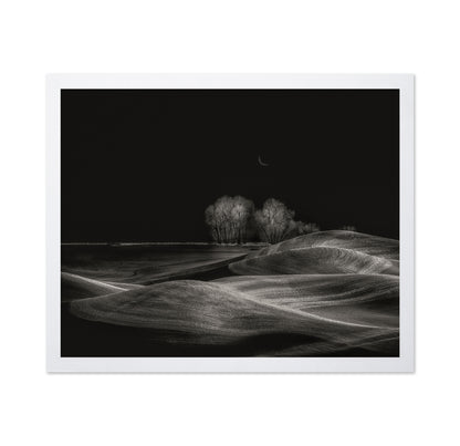 Silent Fields
