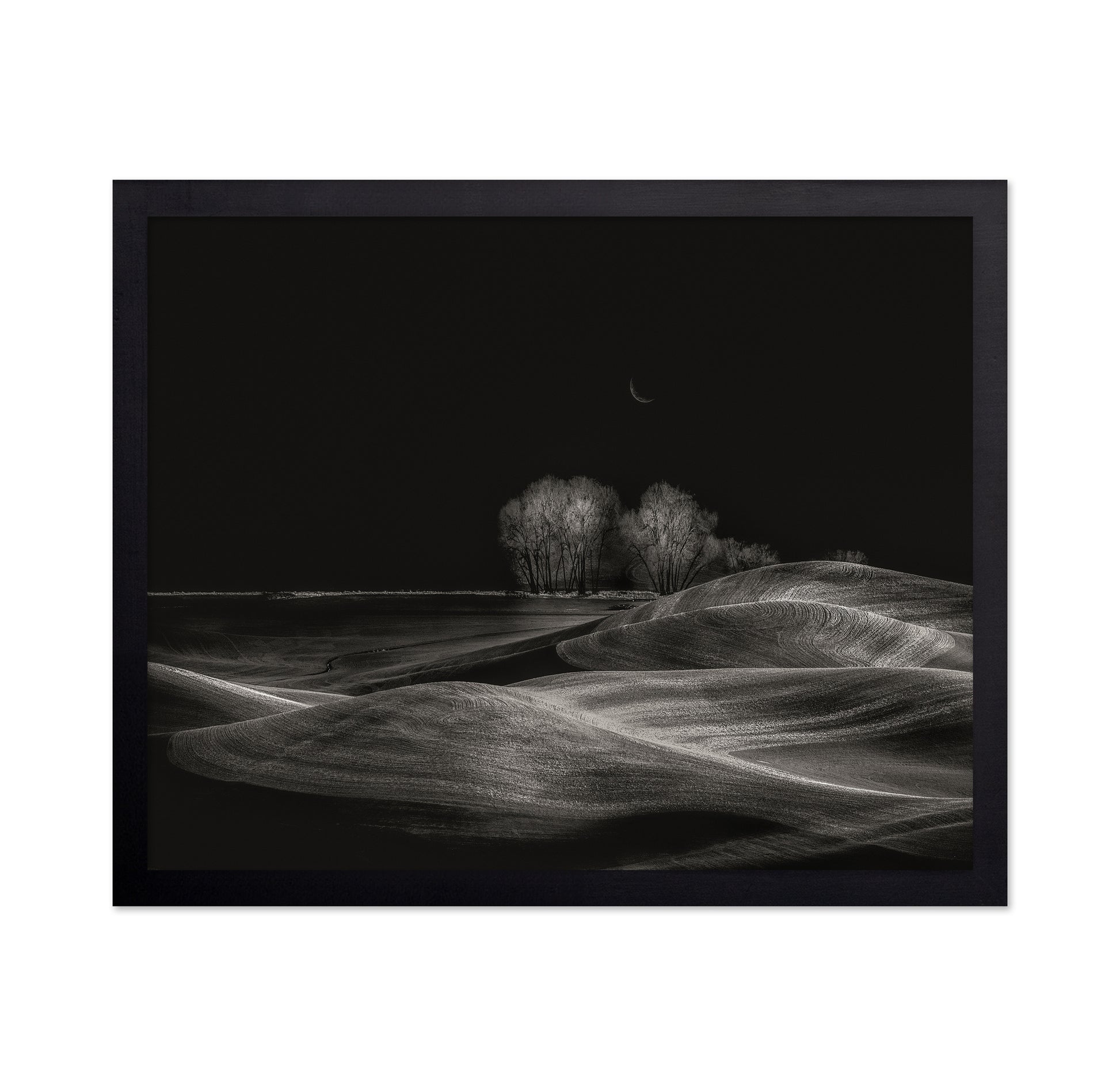 Silent Fields