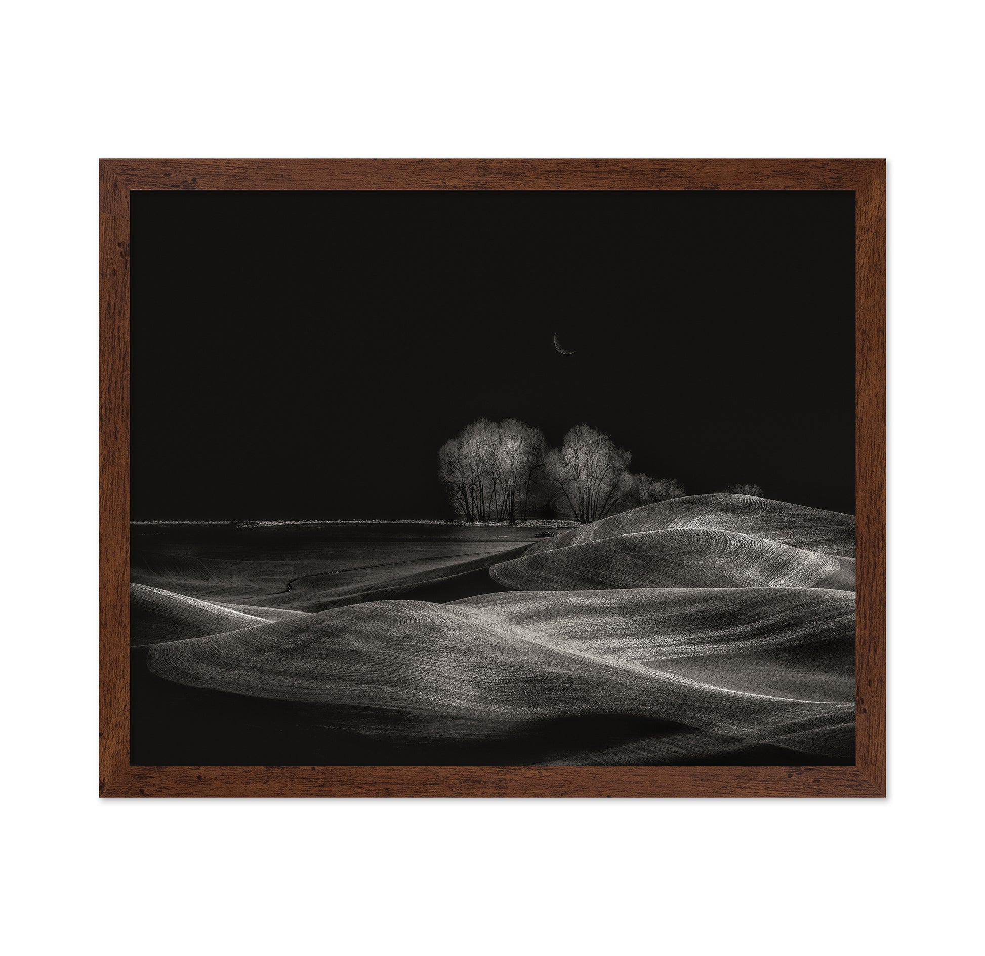 Silent Fields