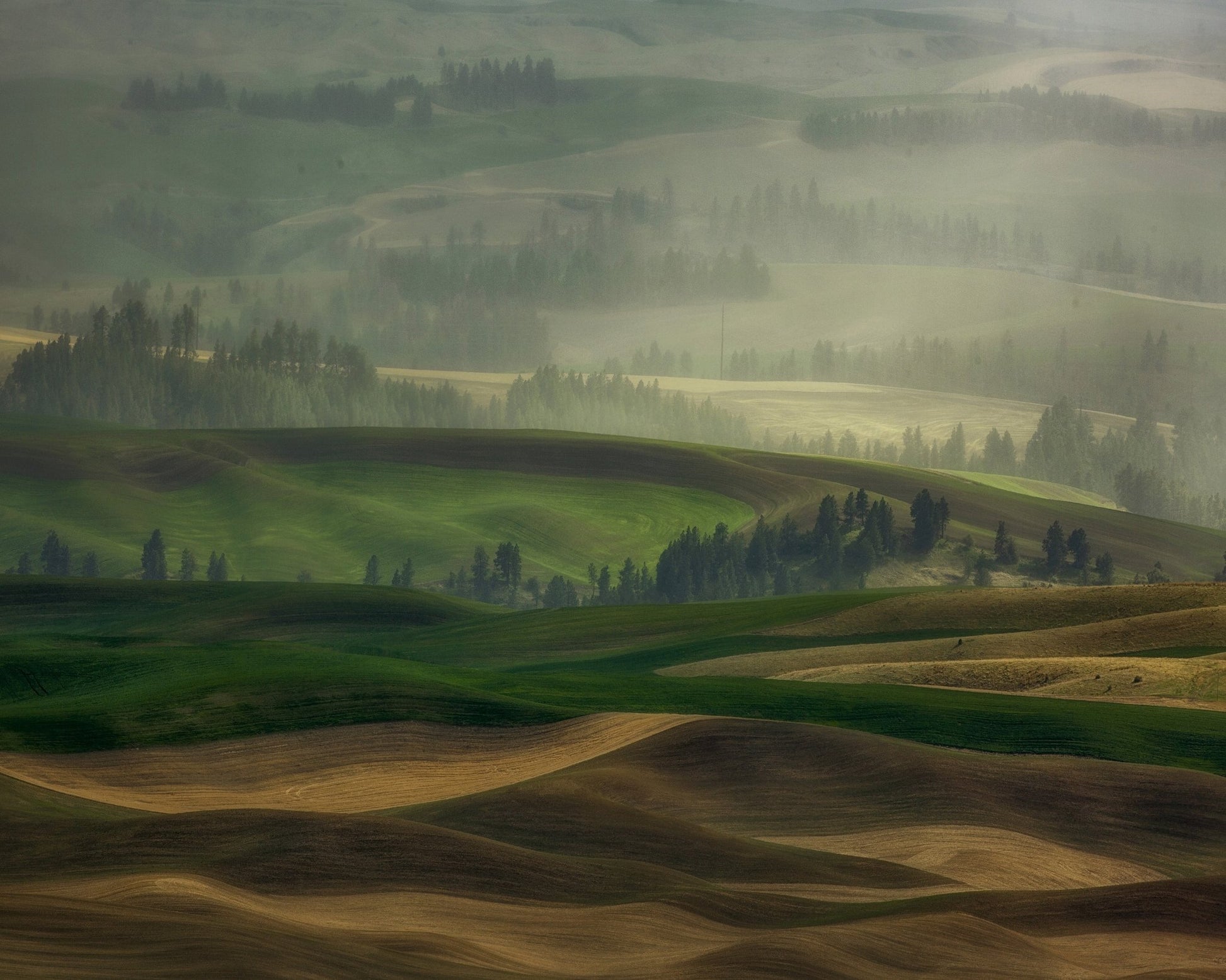 Misty Rolling Hills