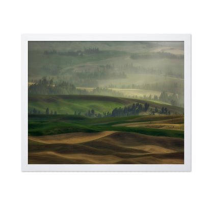 Misty Rolling Hills