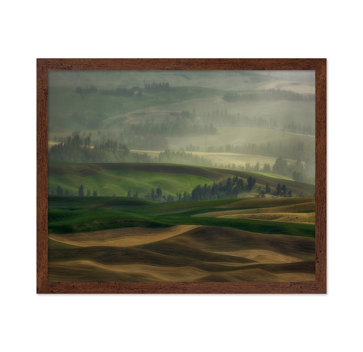 Misty Rolling Hills