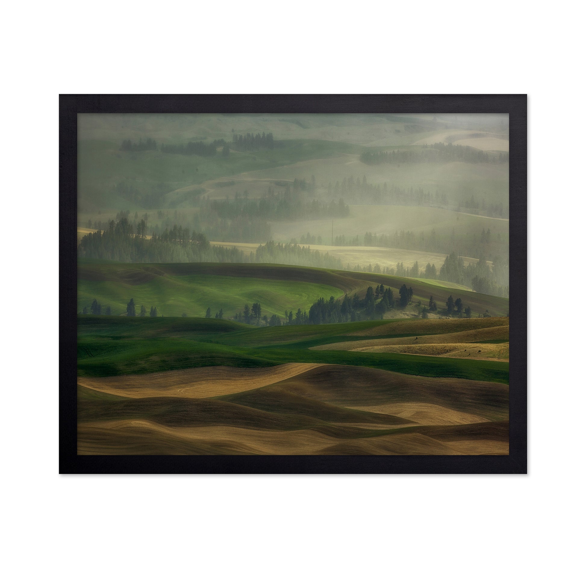 Misty Rolling Hills